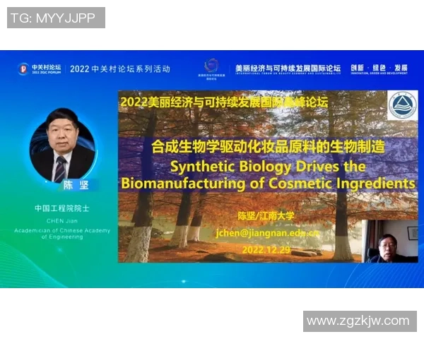 大米种植的可持续发展路径探索与技术创新研究